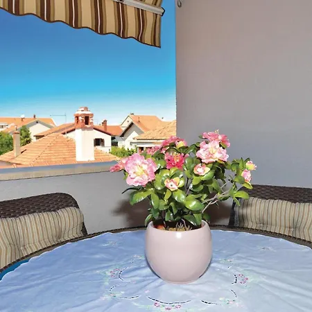 Stunning In With Kitchen Apartment Zadar